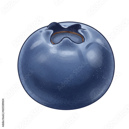 Realistic Illustration Of A Single Ripe Blue Blueberry Isolated On Black Background
