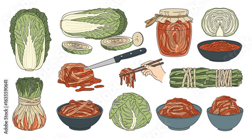 Vibrant collection of freshly prepared korean kimchi vegetables and fermented ingredients for healthy cuisine