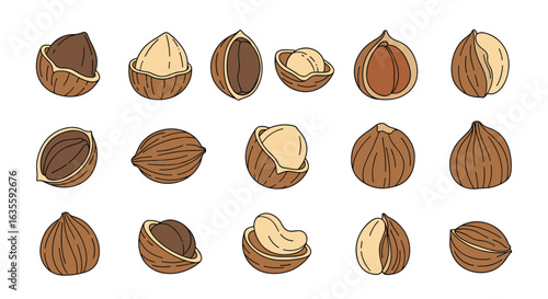 Collection of delicious and nutritious tree nuts for healthy eating and snacks