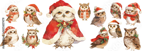 christmas owl watercolor clipart