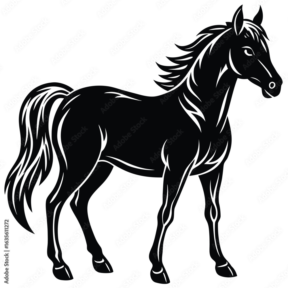 Obraz premium Horse Silhouette