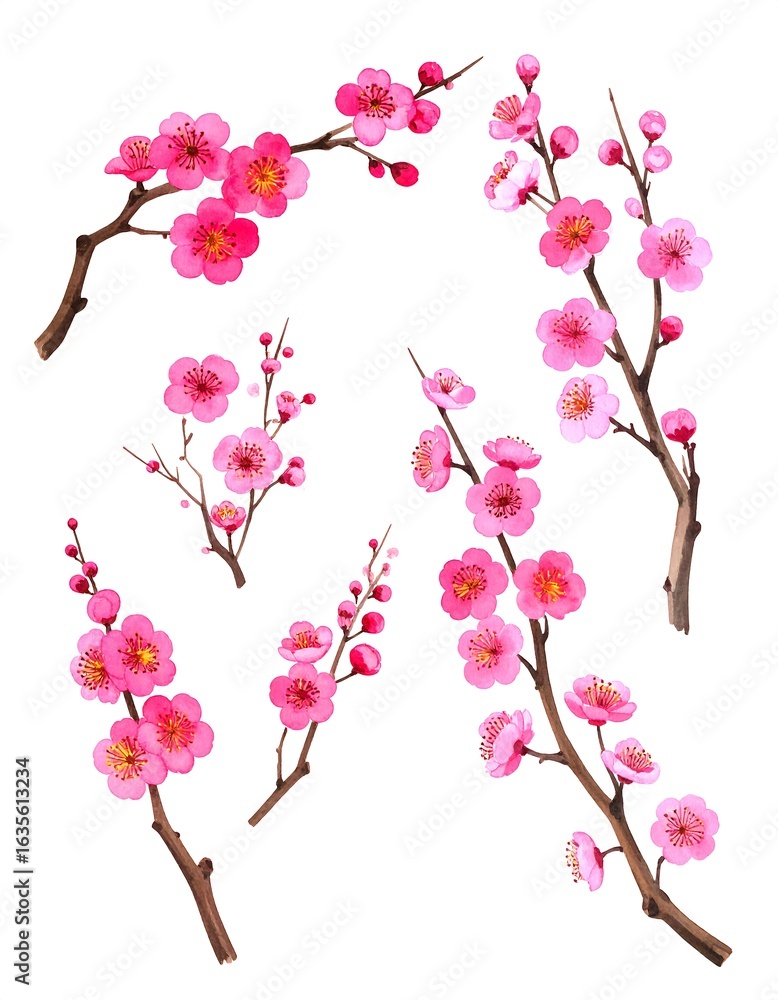 Fototapeta premium Pink blossoms on branches