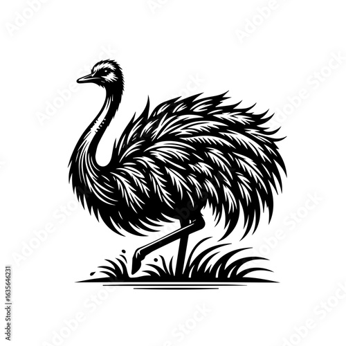 Illustration of an ostrich isolated on white background in black and white