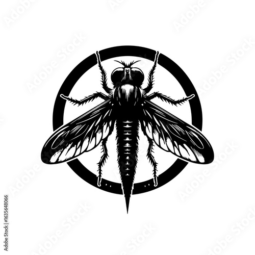 Detailed fly illustration isolated on white background, a common household pest