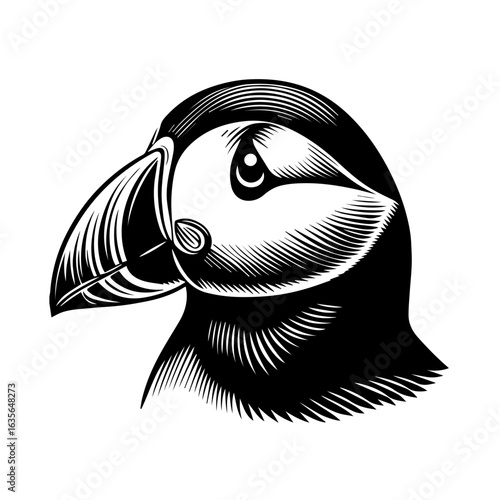 A puffin with a colorful beak isolated on white background is displayed