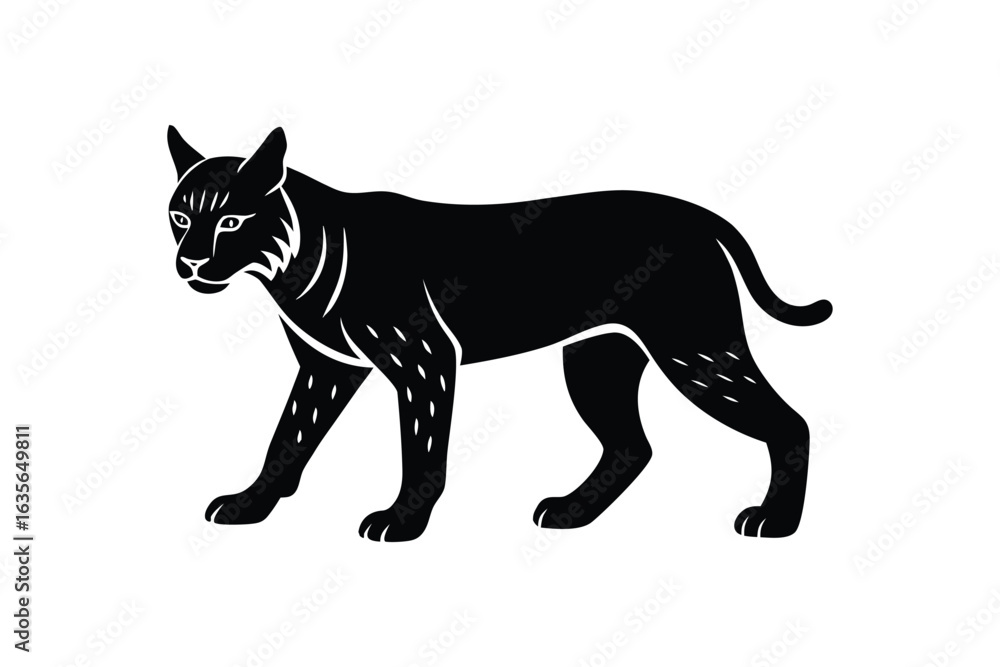 Obraz premium Black silhouette art illustration of a bobcat walking forward.eps