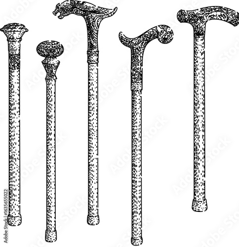 cane stick gentleman set sketch hand drawn vector