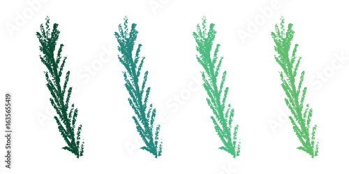 Set of hand drawn spruce branch clipart. Twig of coniferous tree doodle. Christmas and winter design element