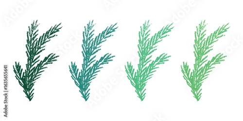 Set of hand drawn spruce branch clipart. Twig of coniferous tree doodle. Christmas and winter design element