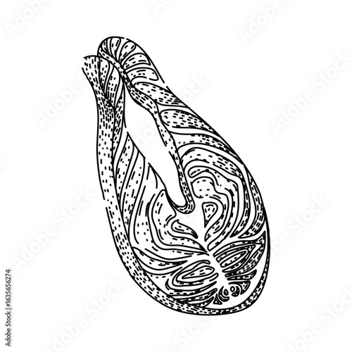 grilled fish fillet sketch hand drawn vector