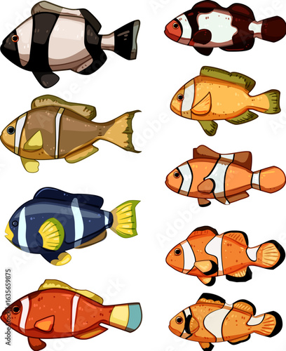 clown fish set cartoon vector illustration