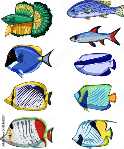 exotic fish set cartoon vector illustration