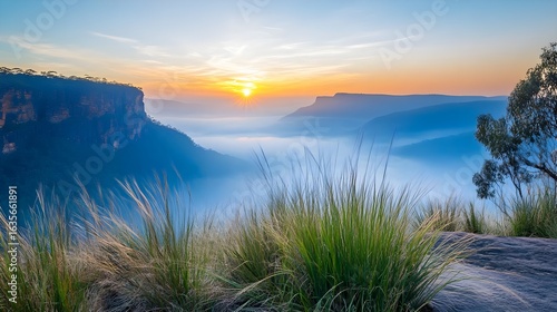 Sunrise over Misty Valley