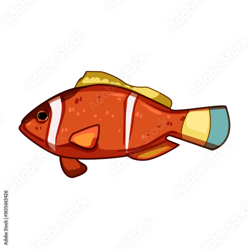 species clown fish cartoon vector illustration
