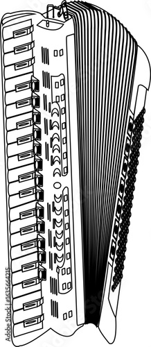 accordion vector illustration