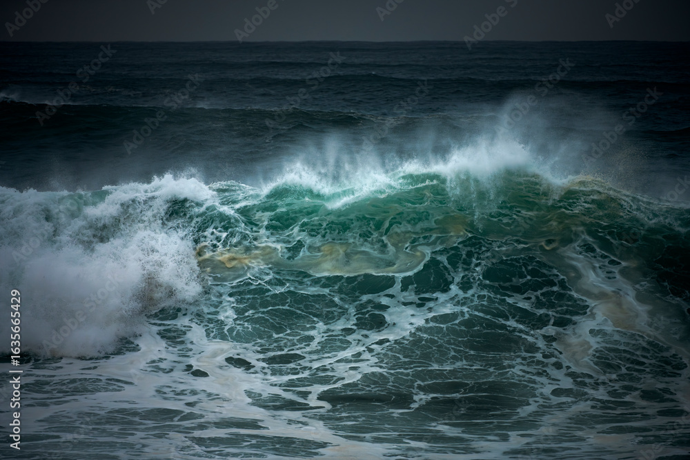 Fototapeta premium Sunlight shines through a powerful wave as it breaks, lighting up the water with a beautiful green glow at Bronte Beach.
