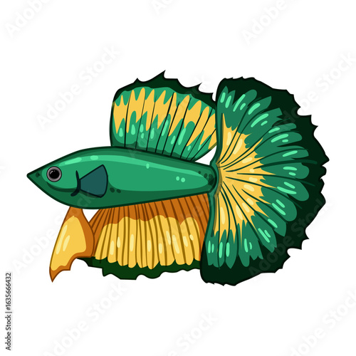 oscar exotic fish cartoon vector illustration