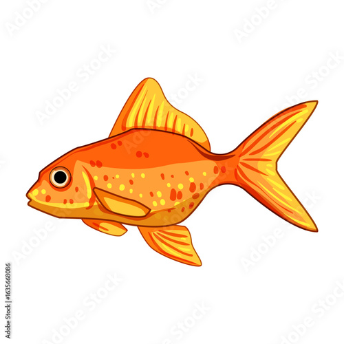 ranchu goldfish cartoon vector illustration