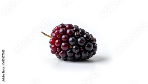 A single, ripe mulberry fruit takes center stage, its elongated, bumpy surface intensely focused against a stark white backdrop