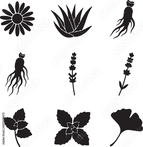 Vector art of collection of nine black botanical icons isolated on white background