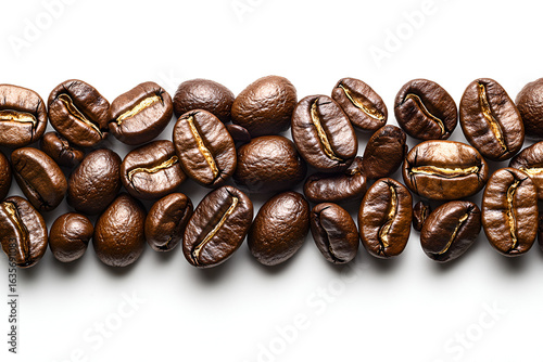 A close-up, top-down view of a horizontal band of roasted coffee beans isolated on a white background.