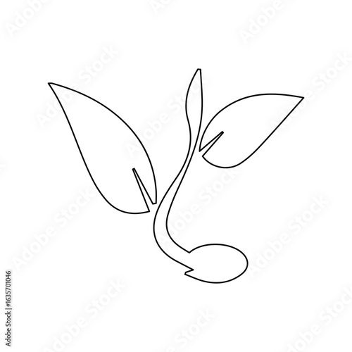 Seedling growth Outline