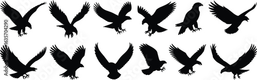 Eagle silhouette set, flying eagle vector, bird of prey clipart, hawk illustration, raptor graphic design, wildlife predator art bundle