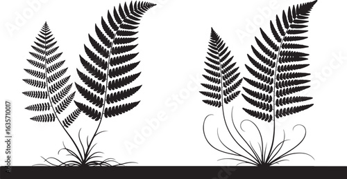  Fern silhouette illustration with hand-drawn plants in varying sizes, bold botanical design, and intricate leaf patterns