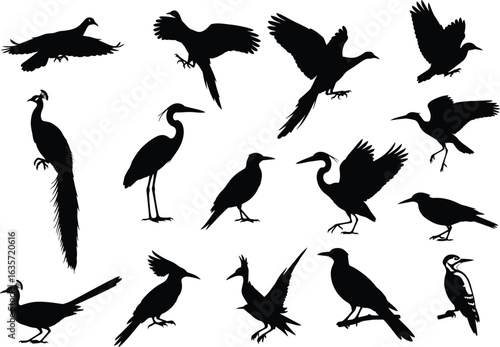 Collection of diverse bird silhouettes in various poses showcasing different species and flight styles against a white background