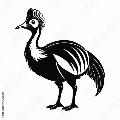 Cassowary Bird Silhouette Illustration