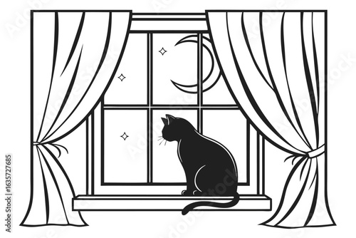 Sleeping cat silhouette on window sill