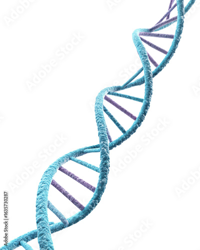dna strand on white background