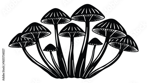 Vector art of group of stylized mushrooms isolated on white background, vintage graphic illustration for nature and botanical design.