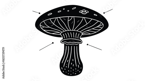 Vector art of detailed illustration of a mushroom with gills isolated on white background.