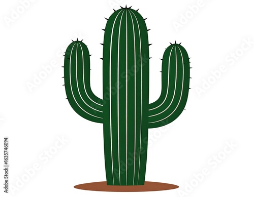 Desert plant illustration