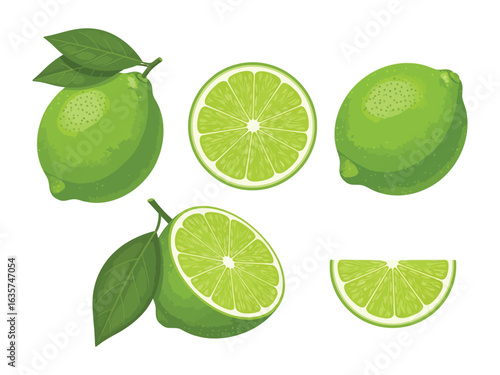 Zesty Lime: Vivid illustrations of limes showcase their vibrant green skin and succulent flesh, a visual feast for the eyes. Revealing nature's freshness and flavors