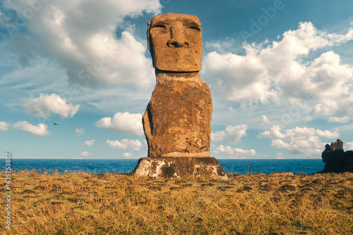 Front view of Ahu Akapu at the Hanga Kioe archaeological site, Rapa Nui (Easter Island), Chile. The solitary moai statue stands 4 meters tall and is complete, although it lacks the pukao (stone hat).