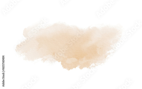 Abstract watercolor peach color spot on transparent background in pastel technique for postcards, websites, invitations, flyers, packaging products, patterns, any composition.