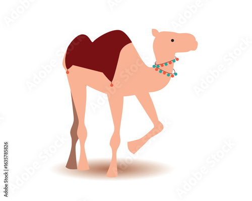 Traditional arabian camel isolated on white, flat vector stock illustration