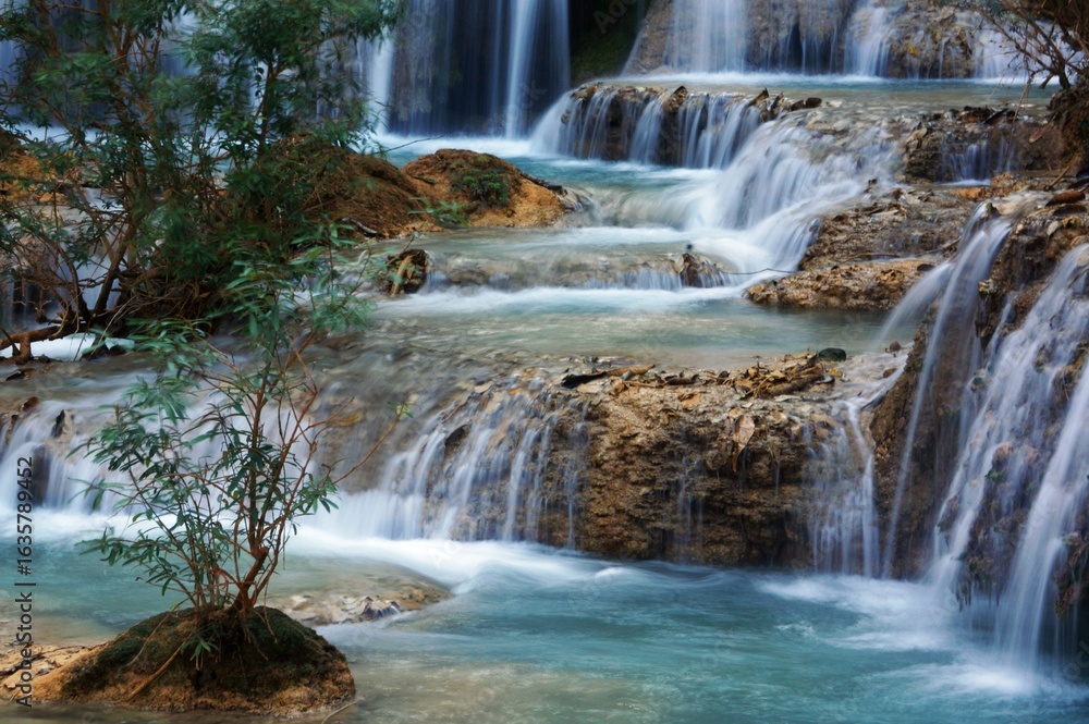 Obraz premium waterfall in the forest