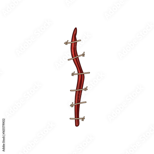 thread suture cartoon vector illustration