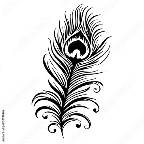 Peacock feather silhouette