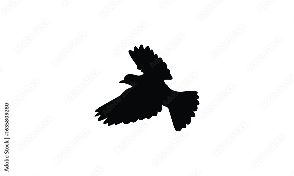 Obraz premium Flying American robin bird Silhouette Design And Vector Illustration. 