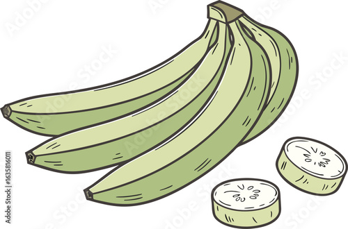 Fresh Raw Green Bananas in Natural Bunch Isolated on White Background for Food and Fruit Design. Realistic Raw Green Bananas with Tropical Freshness for Healthy Eating and Organic Food Concept
