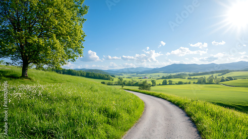 Scenic road through lush green fields countryside landscape photography bright daylight serene view nature's beauty