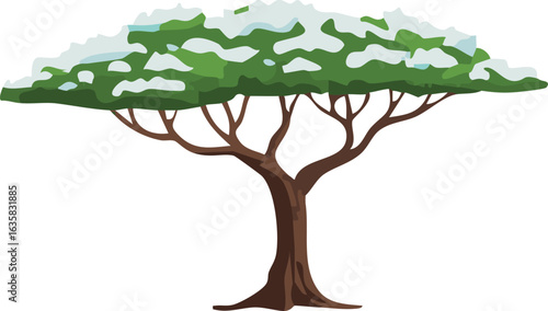 A stylized illustration of a deciduous tree with a wide green canopy partially covered in white snow, featuring a sturdy brown trunk and branches.