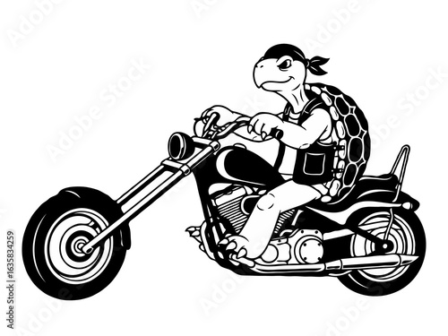 Biker Turtle on Motorcycle