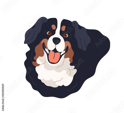 Bernese dog, head portrait. Cute canine animal, Swiss breed with fluffy coat, happy face with tongue out. Berner Sennenhund puppy, muzzle avatar. Flat vector illustration isolated on white background
