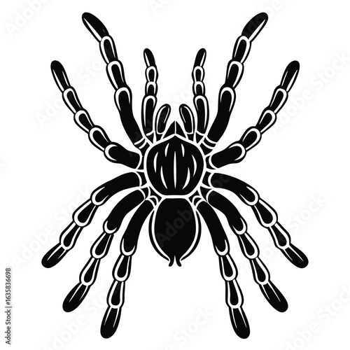 Vector art of black silhouette of a tarantula spider with eight legs, isolated on a white background