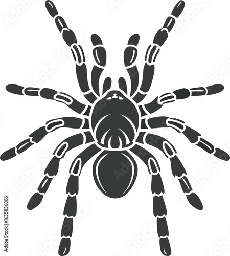 Vector art of black silhouette of a tarantula spider with eight legs, isolated on a white background, graphic illustration